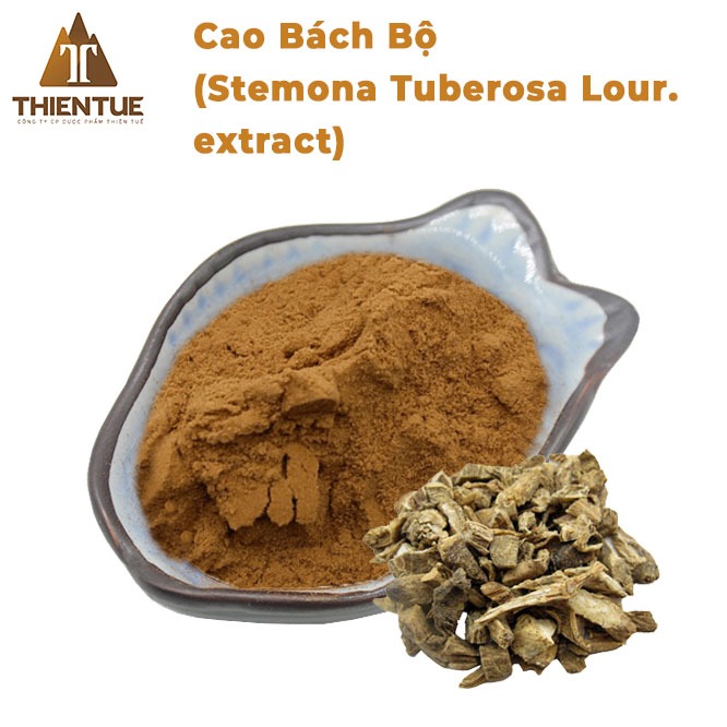cao-bach-bo-stemona-tuberosa-lour-extract