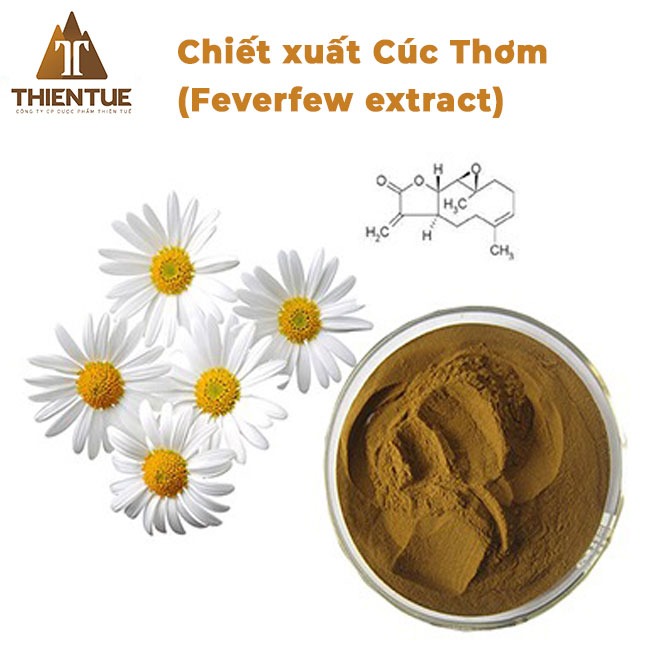 chiet-xuat-cuc-thom-feverfew-extract