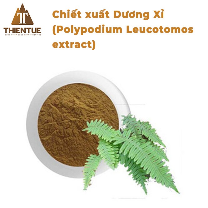 chiet-xuat-duong-xi-polypodium-leucotomos-extract