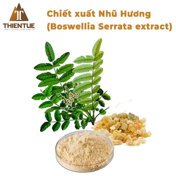 chiet-xuat-nhu-huong-boswellia-serrata-extract
