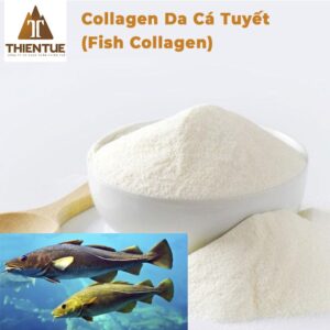 collagen-da-ca-tuyet-fish-collagen