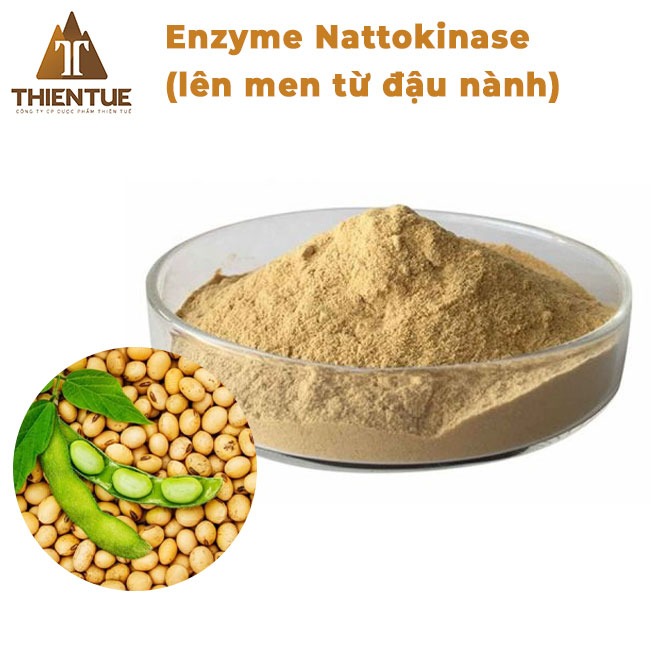 enzyme-nattokinase