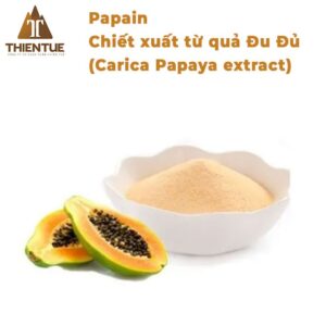 papain-chiet-xuat-tu-qua-du-du-papain-carica-papaya-extract