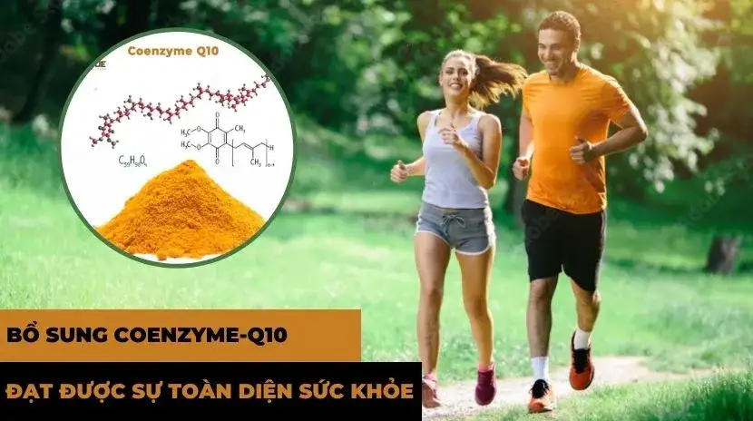bo-sung-coenzyme-q10-de-dat-duoc-su-toan-dien-ve-suc-khoe