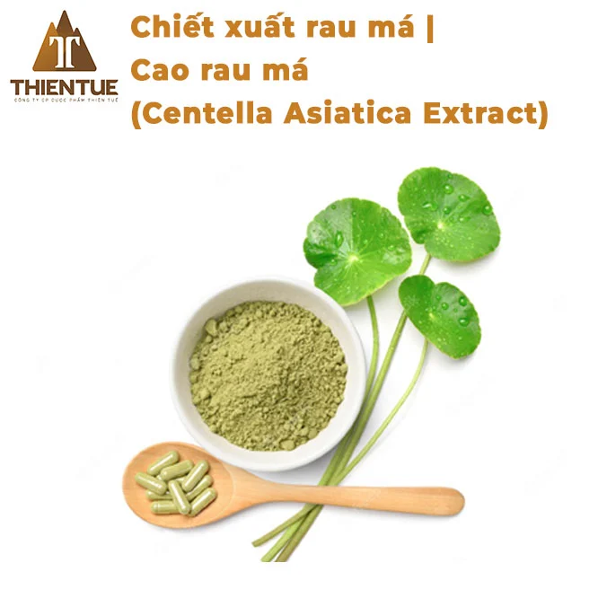 chiet-xuat-rau-ma-cao-rau-ma-centella-asiatica-extract