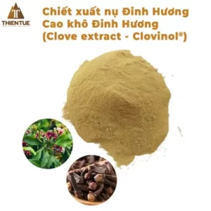 chiet-xuat-nu-dinh-huong-cao-kho-dinh-huong-clove-extract-clovinol
