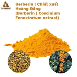 berberin-chiet-xuat-hoang-dang-berberin-coscinium-fenestratum-extract