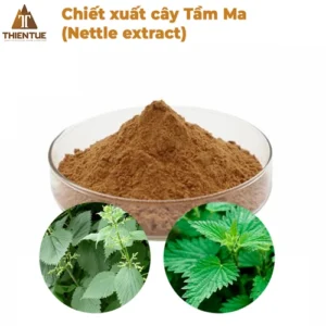 chiet-xuat-cay-tam-ma-nettle-extract
